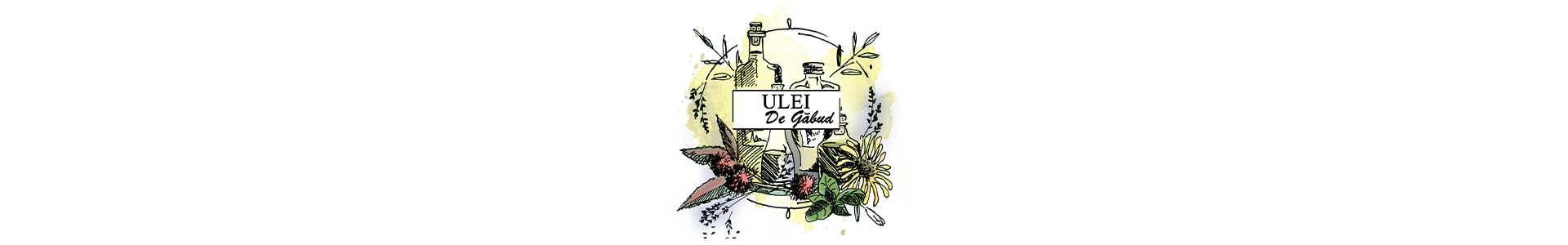 Ulei de Găbud
